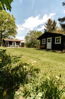 Wunderschönes Chalet mit Gästehaus in der Natur mit Fass-Sauna - Sangerhausen - 2