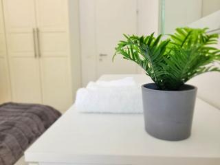 Apartment PALMA - Central & Cozy with Free Private Parking - Lugano - 3
