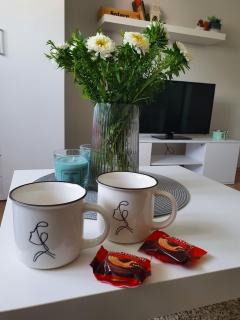 Home, sweet home - Novi Sad - 2