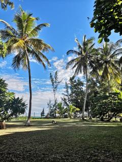 Villa Karel Mauritius Beach house - 1