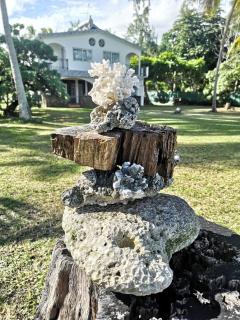 Villa Karel Mauritius Beach house - 6