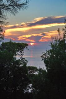 Poseidi - Villa Olivia - Kalandra - 7