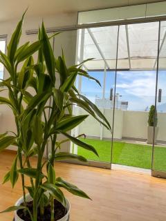 Furnished Aparments Arequipa - 1