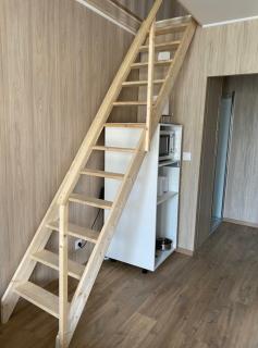 Duplex atypique en bois entre ville et verdures - La Chapelle-Saint-Mesmin - 6