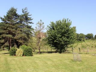 Maison périgourdine avec piscine, 7 pers, jardin, cheminée - FR-1-616-111 - Saint-Avit-Sénieur - 6