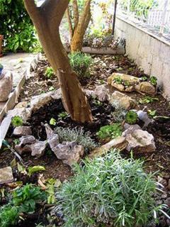 Apartments with a parking space Podstrana, Split - 5250 - 2