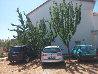 Apartment Biograd na Moru 5282c - Biograd na Moru - 1