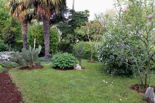 Apartments with a parking space Malinska (Krk) - 5284 - Malinska - 3