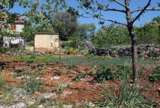Apartments with a parking space Zupanje, Krk - 5307 - 2