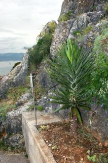 Holiday house with a parking space Vrbnik, Krk - 5426 - Vrbnik - 5