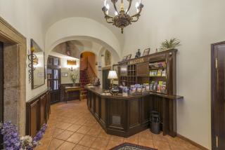 Hotel Cerny Slon - 7