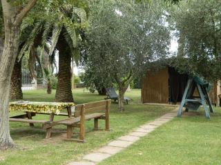 Podere Santo Signoretto - San Vincenzo - 2