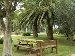 Podere Santo Signoretto - San Vincenzo - 4