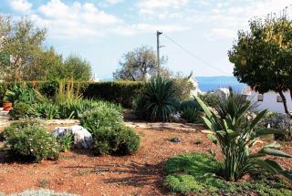 Apartments with a parking space Bol, Brac - 5642 - Bol - 2