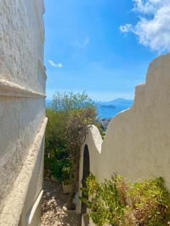 Somptuous exotic villa in Cannes - Cannes - 5