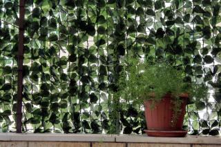 Triple Room Supetar 5658b - Supetar - 3