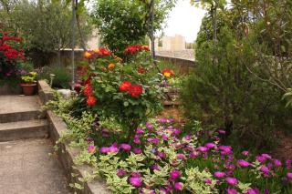 Apartments with parking space Krk - 5364 - Krk - 4