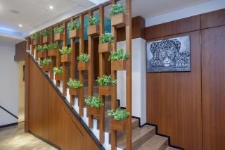 Sans Hotel Pippo Yogyakarta by RedDoorz - 6