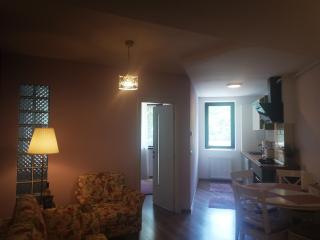 Apartament Dragoste și Lavandă Sinaia - Sinaia - 3