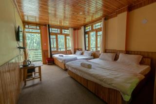 Venky's Place - Jibhi - 0