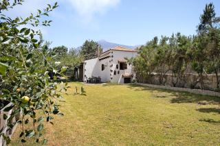Finca Las Carmenes - Icod de los Vinos - 7