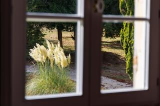 Domaine de Seugnac - Pons - 3