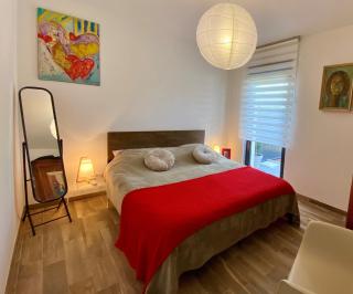 "Le 43" Terrasse, jardin, 2 garages - Colmar - 5