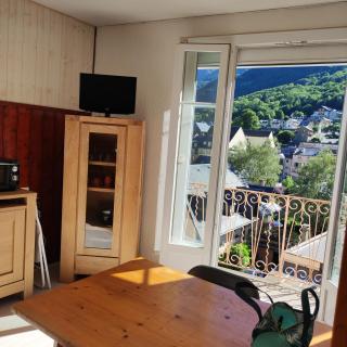 Hyper centre, excellent emplacement - Cauterets - 0