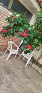 ToMa House - Pellaro - 9