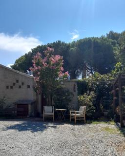 Casa Francesca - Saint-Florent - 8