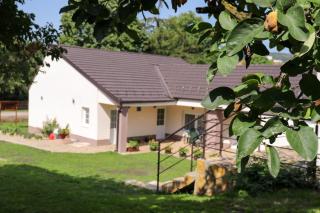 Zlatne perle - Vrdnik - 8