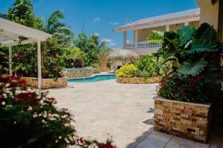 Modern 1-bedroom-apartment 2 km from Eagle beach - Palm-Eagle Beach - 0