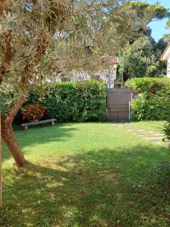 A casa di Berta - Pietrasanta - 6