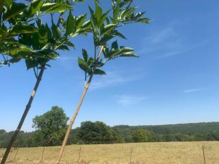 Aux Fines Bulles Chambres d hôtes - 2