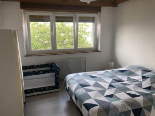gîte de montagne au pied du Champ du Feu (Alsace) - Belmont - 9