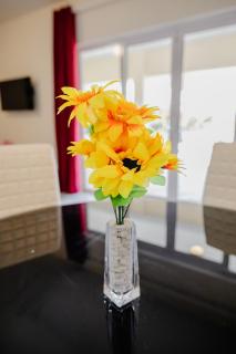 Brand new 2-bedroom apartment 2 km from Eagle beach - Palm-Eagle Beach - 4