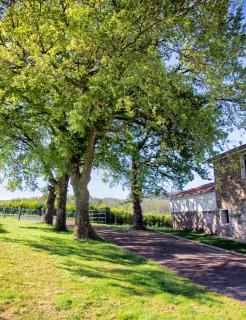 A casa do viveiro - 7