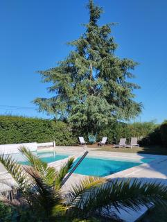 L'Atelier Saint-Sulpice entre Bordeaux et St Emilion - Saint-Sulpice-et-Cameyrac - 7