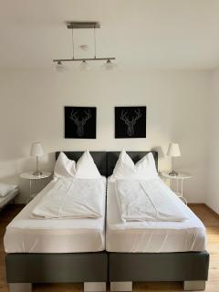 Peters Panoramaappartment - Piesendorf - 7
