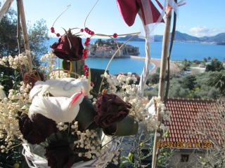 Guest House Ivo Jovanovic - Sveti Stefan - 9