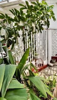 Copperbelt Executive Accommodation Ndola, Zambia - Ndola - 5