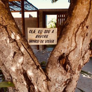 Bororo Vida- Vilinha Eco Boutique- Milagres, Praia de Tatuamunha - Pôrto de Pedras - 4