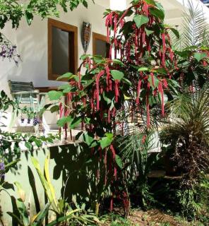 Pousada Villa da Gama - 3