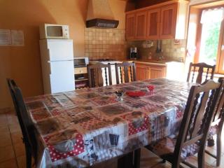 Gîte rustique avec cheminée, jardin et wifi - FR-1-496-175 - Aveizieux - 7