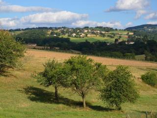 Maison rustique avec jardin à Aveizieux, animaux admis - FR-1-496-175 - 9