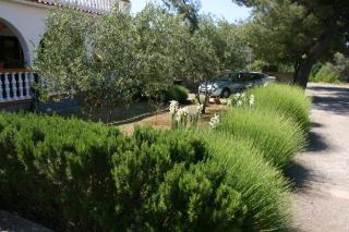 Apartments with a parking space Pirovac, Sibenik - 6246 - 4