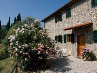 Farmhouse San Baronto with Pool & Olive Grove - Quarrata - 1