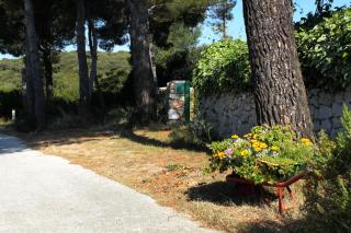 Apartments with parking spaces Molat - 6249 - Molat - 1