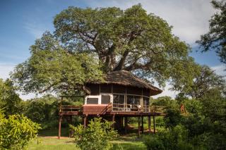 Tarangire Treetops - 6
