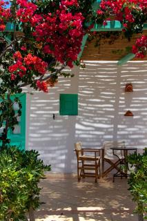 Psilandis Studios - Adamas - 9